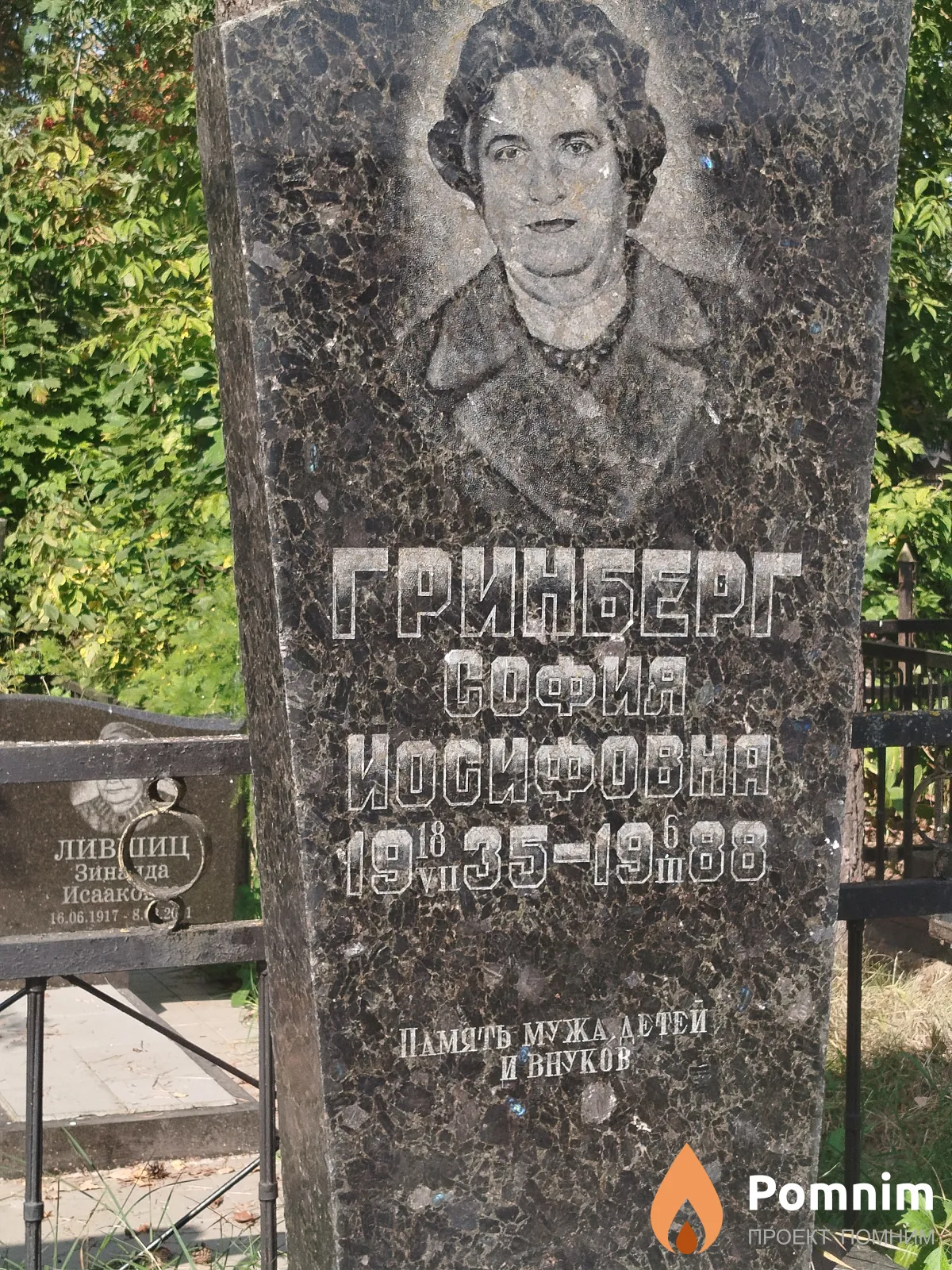 Гринберг София Иосифовна