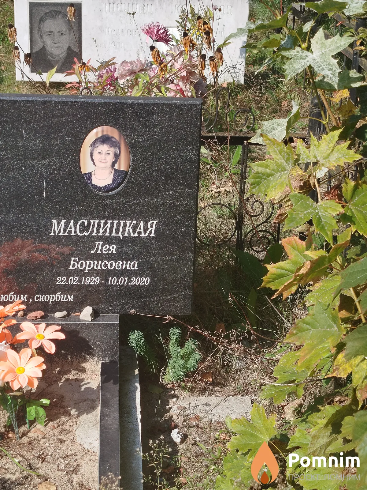 Мыслицкая Лея Борисовна
