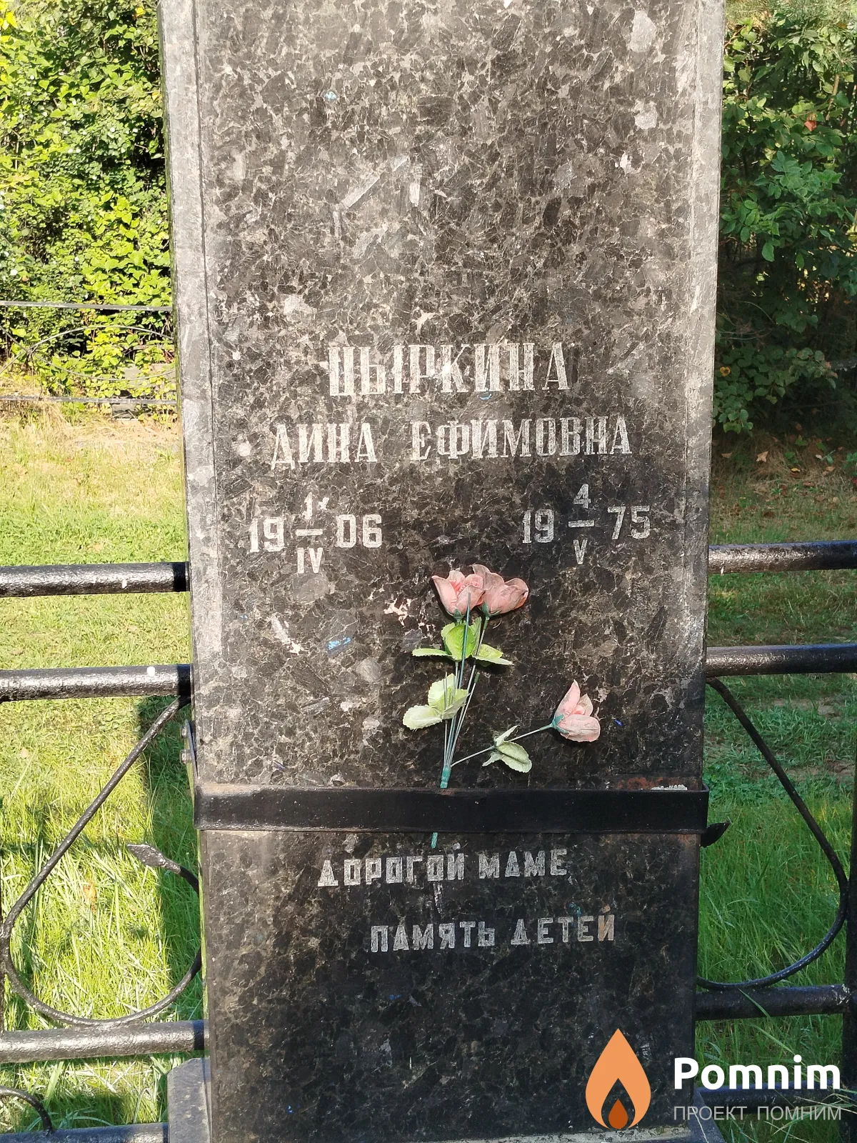 Цыркина Дина Ефимовна