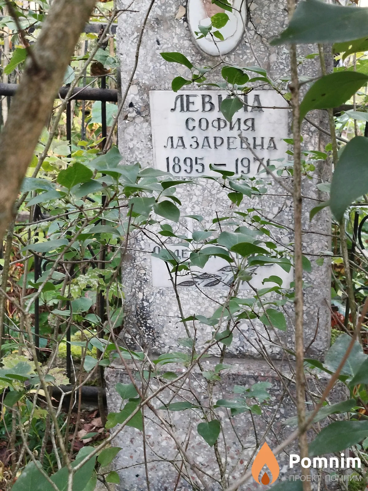Левина София Лазаревна