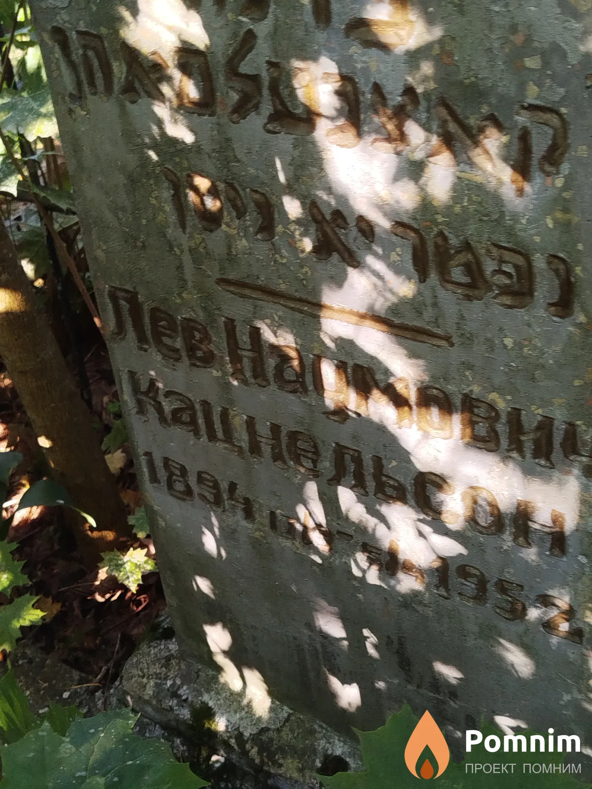 Кацнельсон Лев Наумович