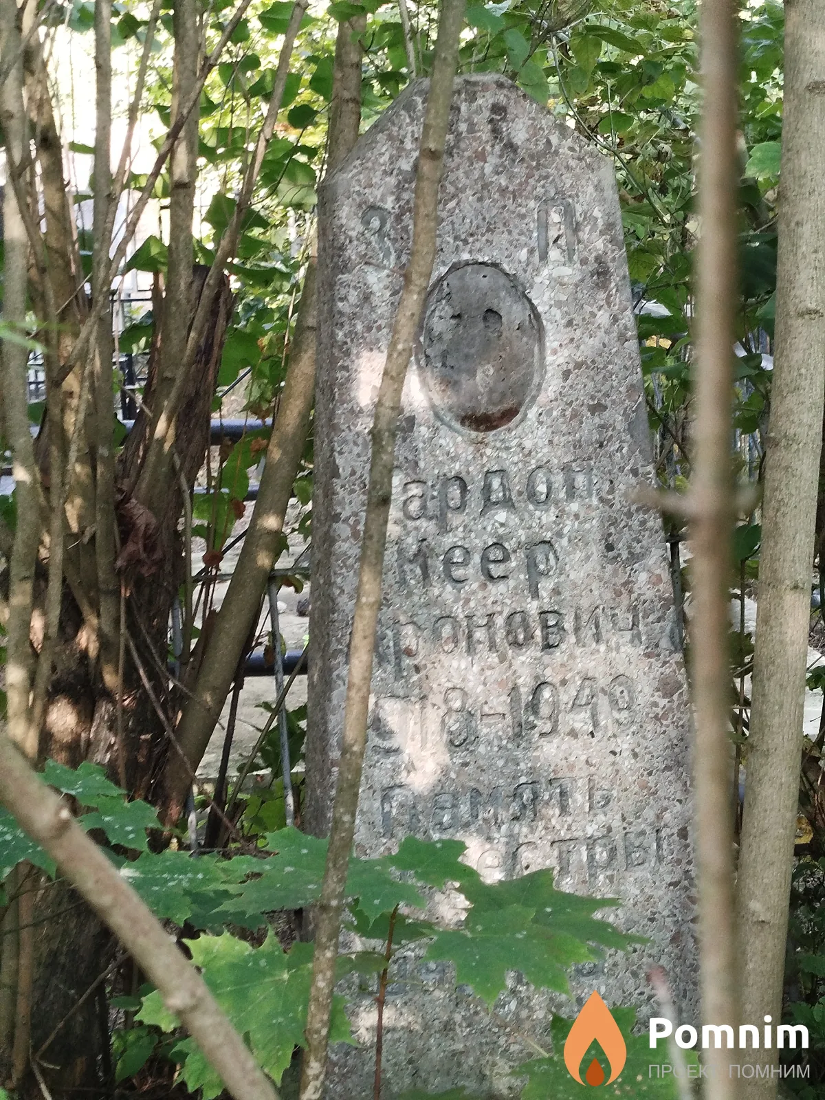 Гардон Мееp Аронович