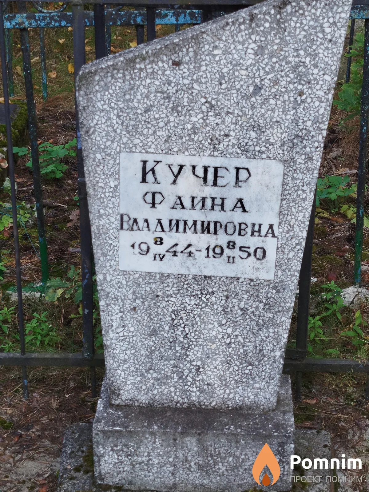 Кучер Фаина Владимировна