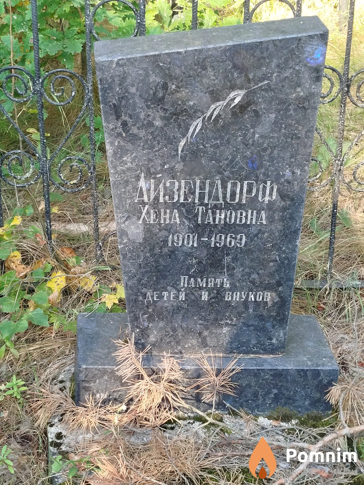 Айзендорф Xeна Taновна