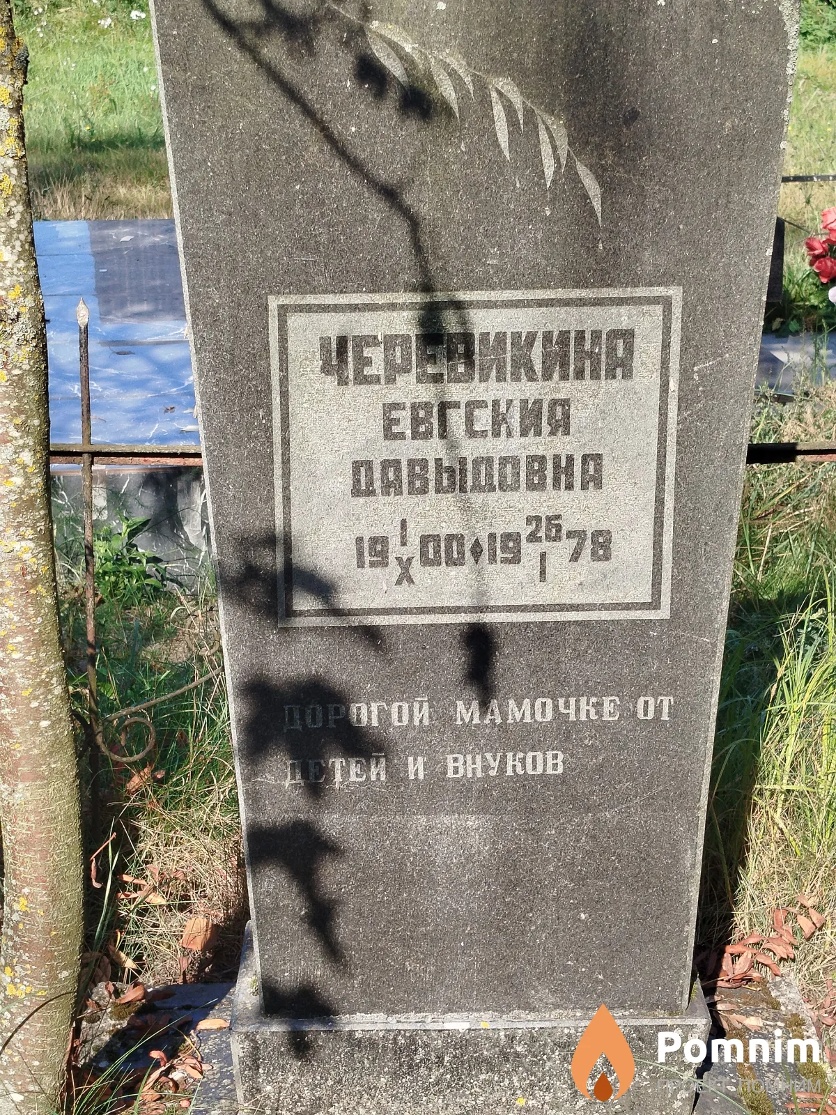 Черевикина Евгения Давыдовна