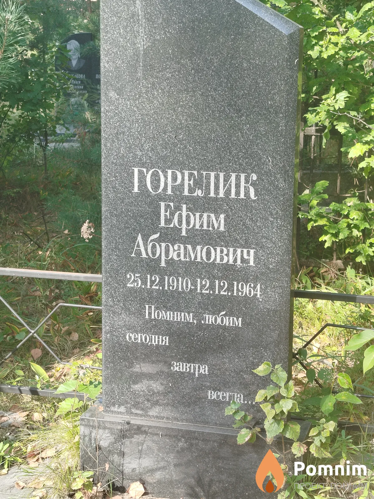 Горелик Ефим Абрамович