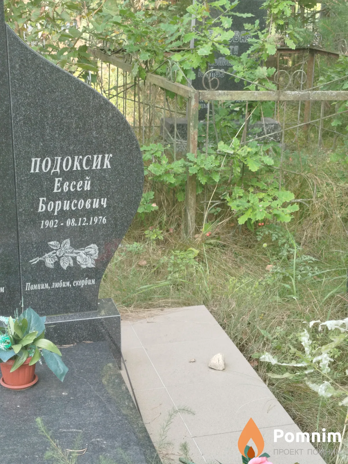Подоксик Евсей Борисович