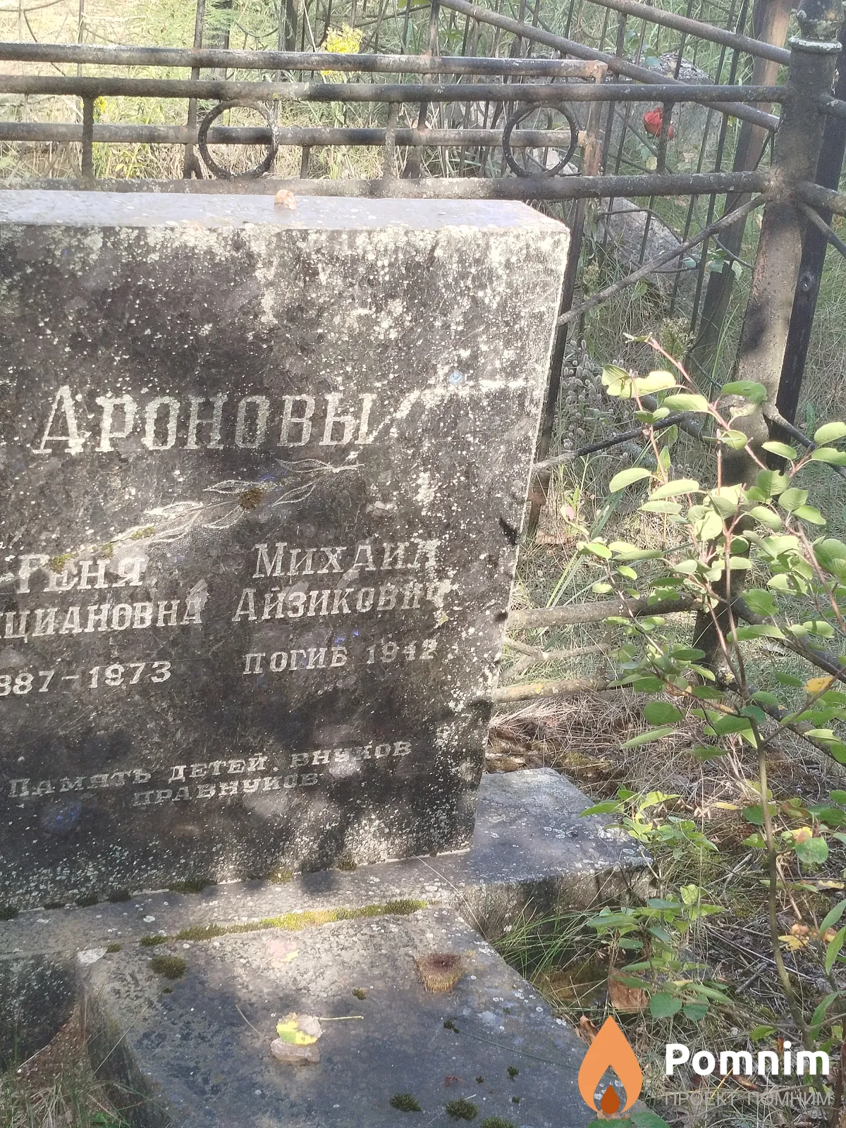 Аронов Михаил Айзикович