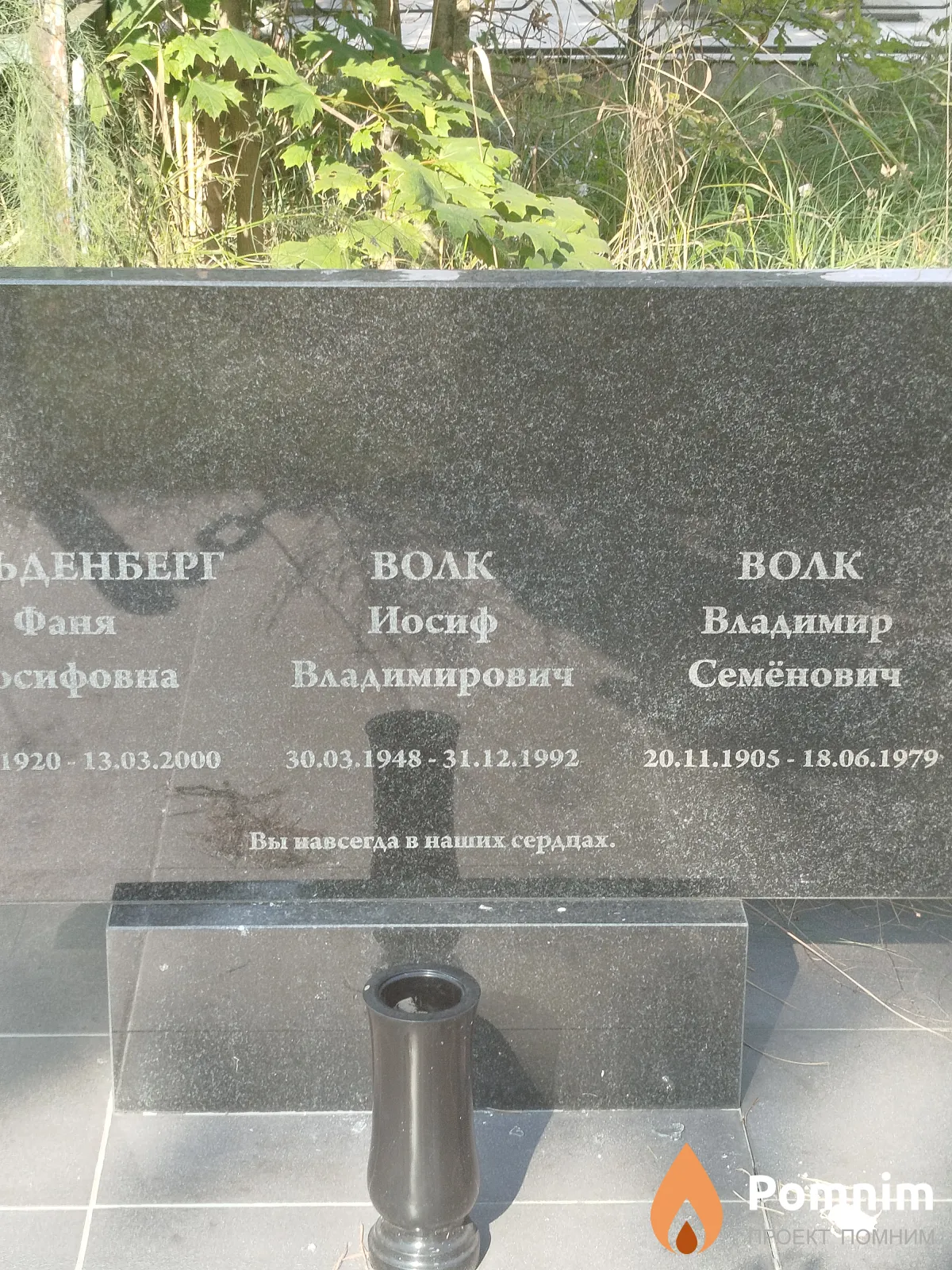 Волк Иосиф Владимирович