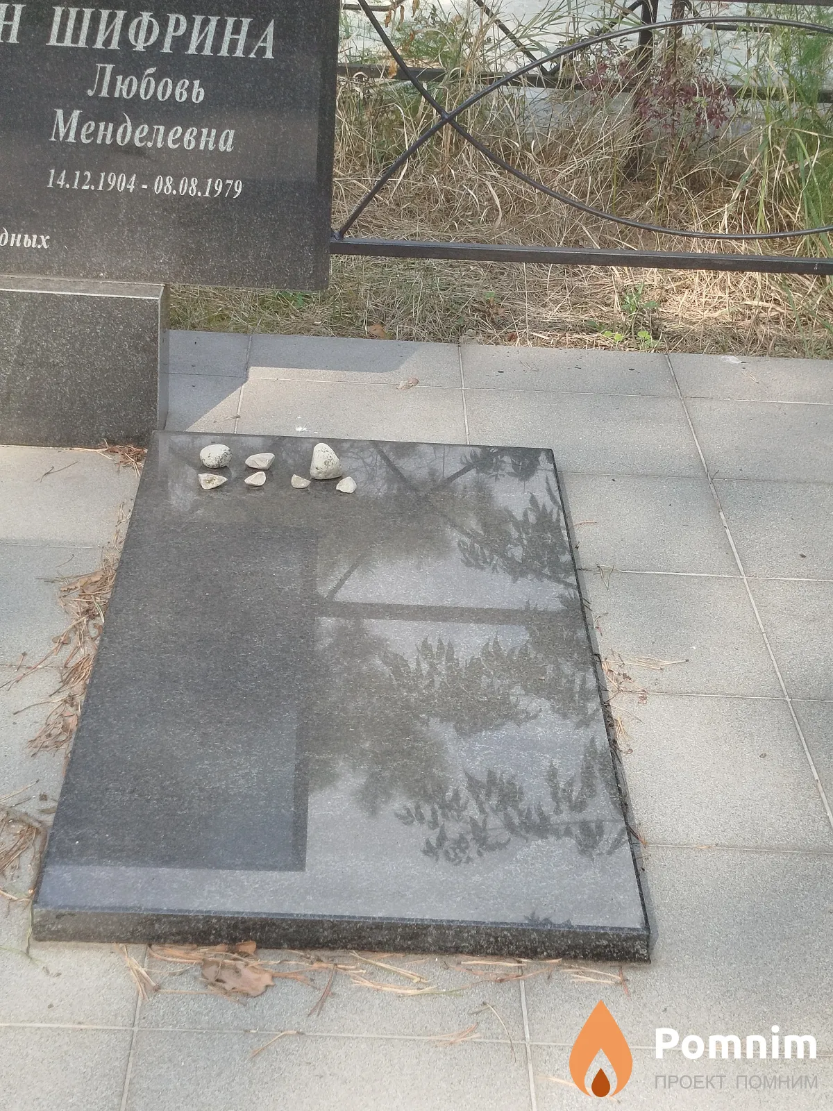 Шифрина Любовь Менделевна