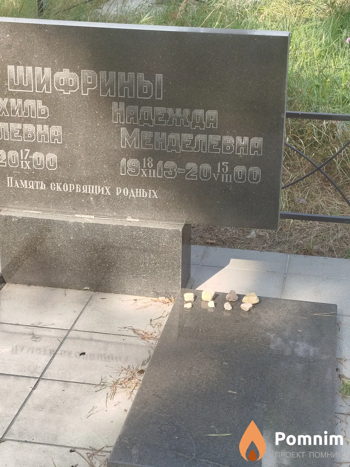 Шифрина Надежда Менделевна