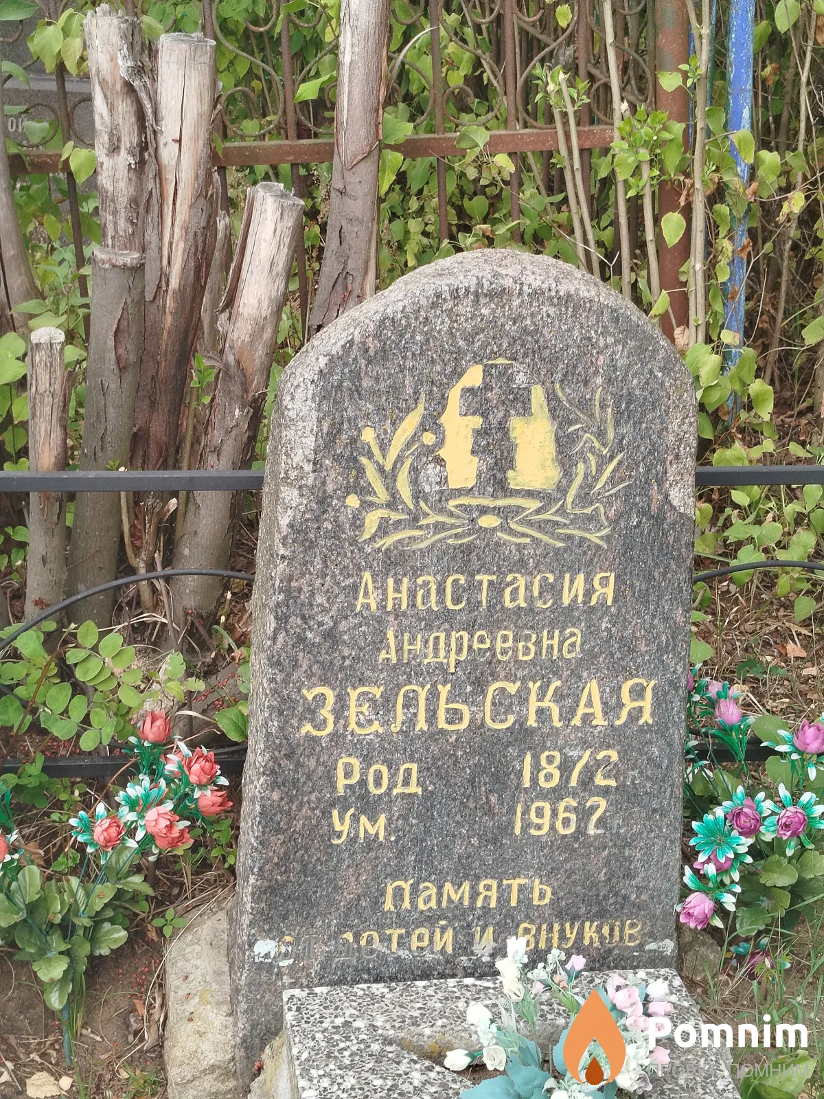 Зельская Анастасия Андреевна