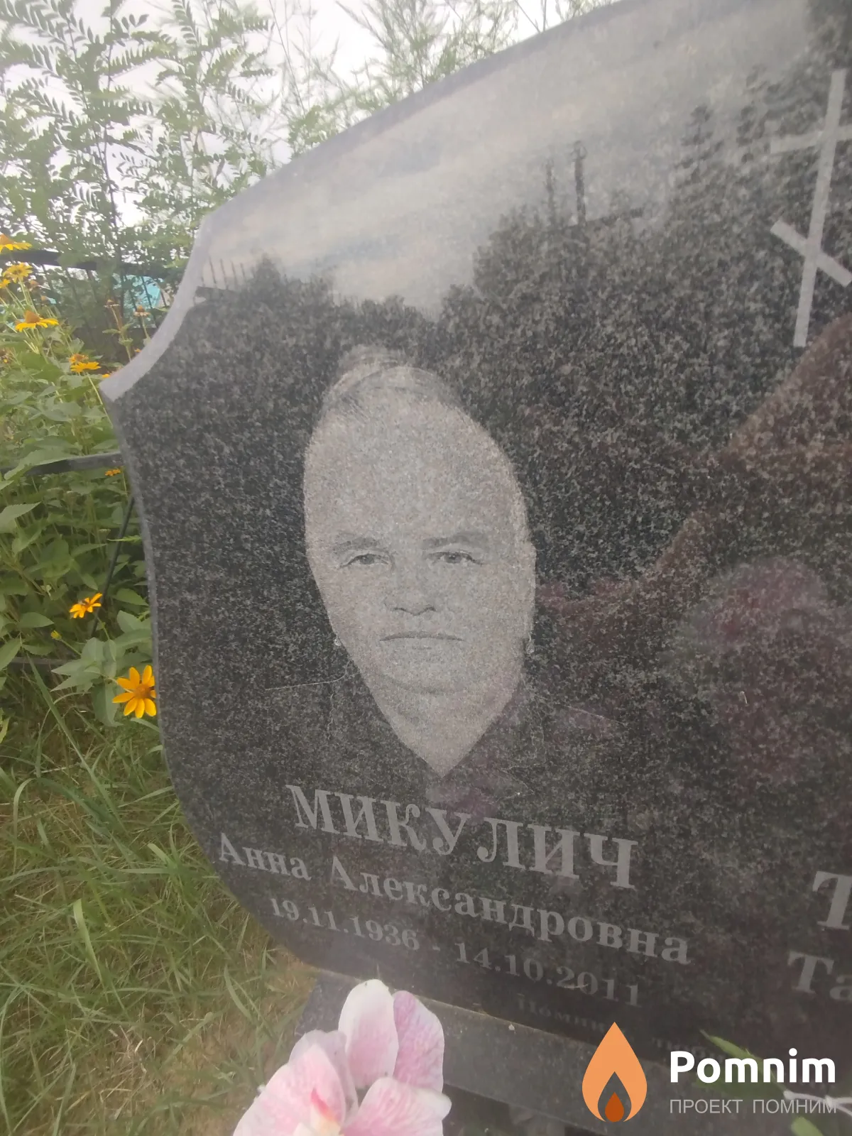 Микулич Анна Александровна