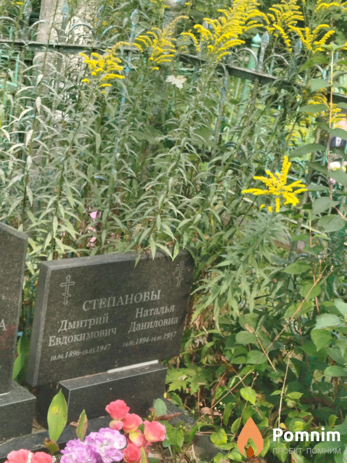 Степанова Наталья Даниловна