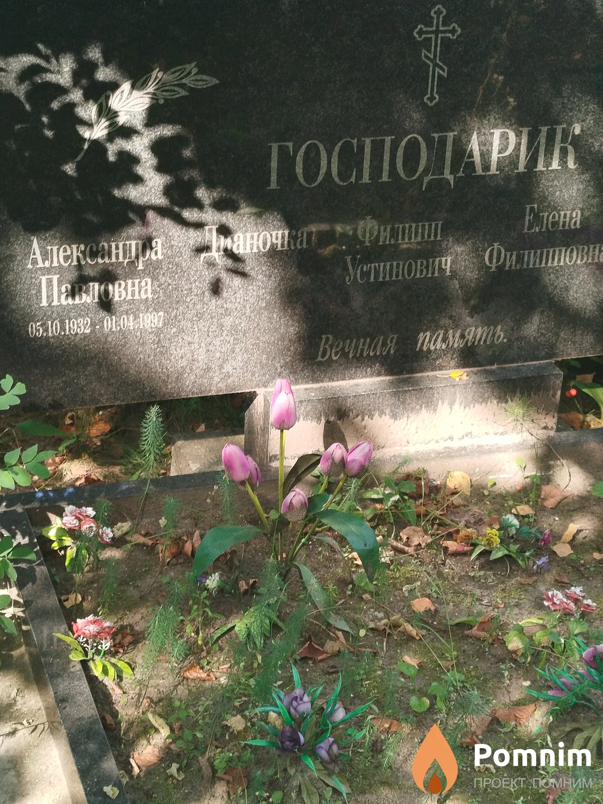 Господарик Филипп Устинович