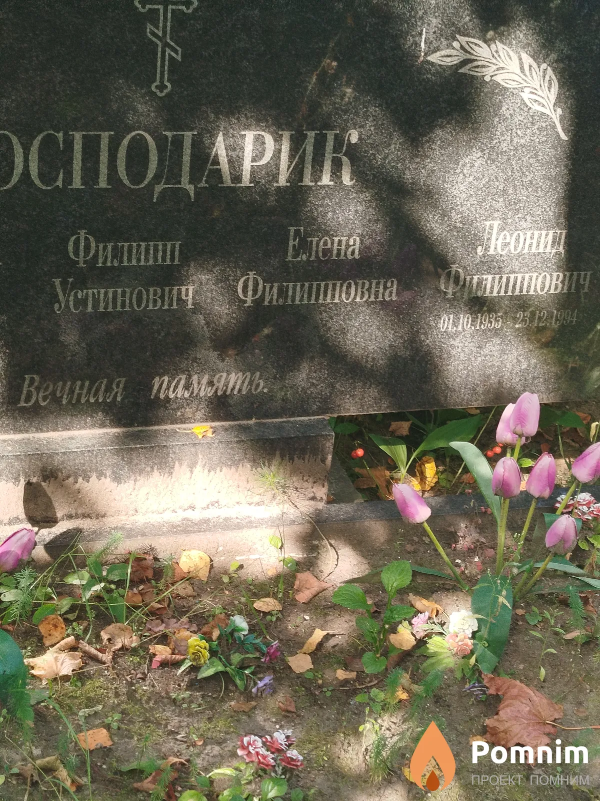 Господарик Елена Филипповна