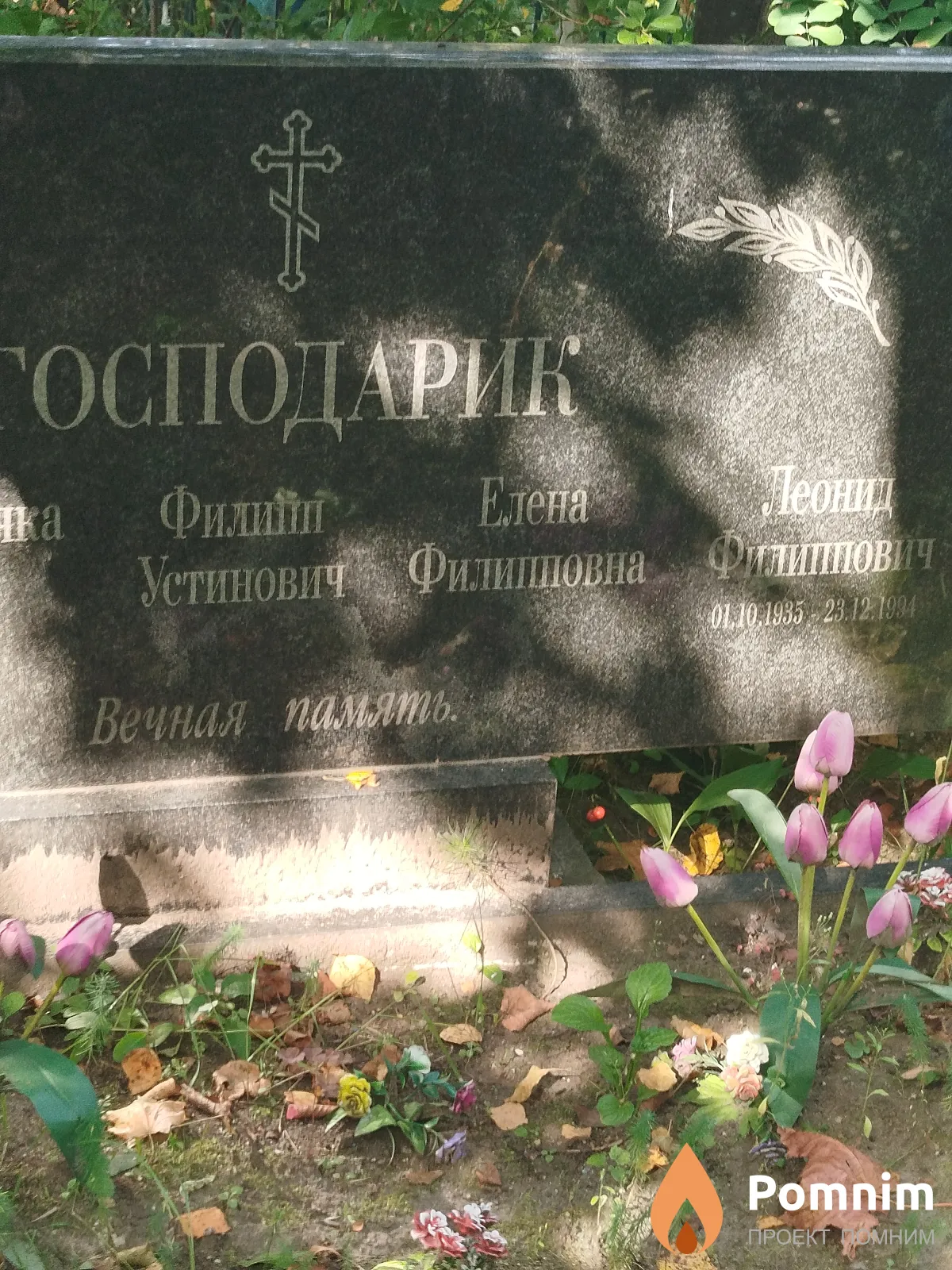 Господарик Леонид Филиппович