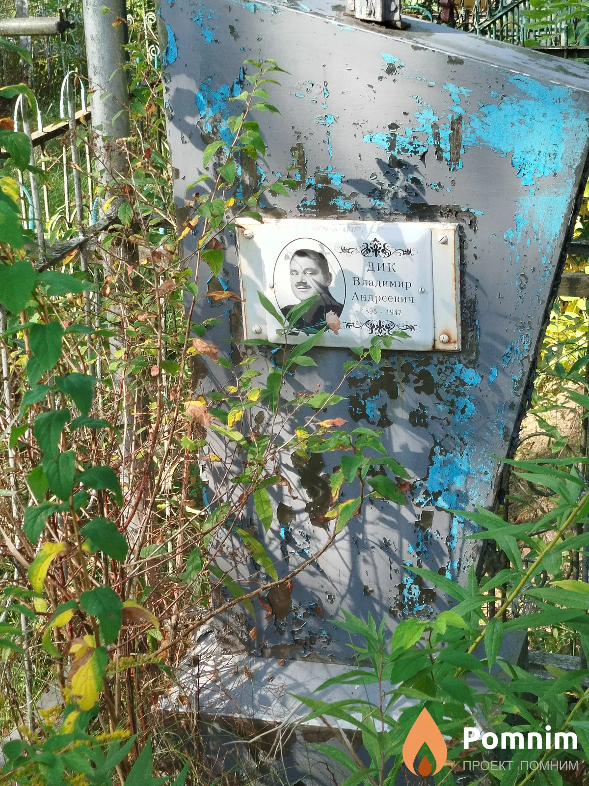 Дик Владимир Андреевич