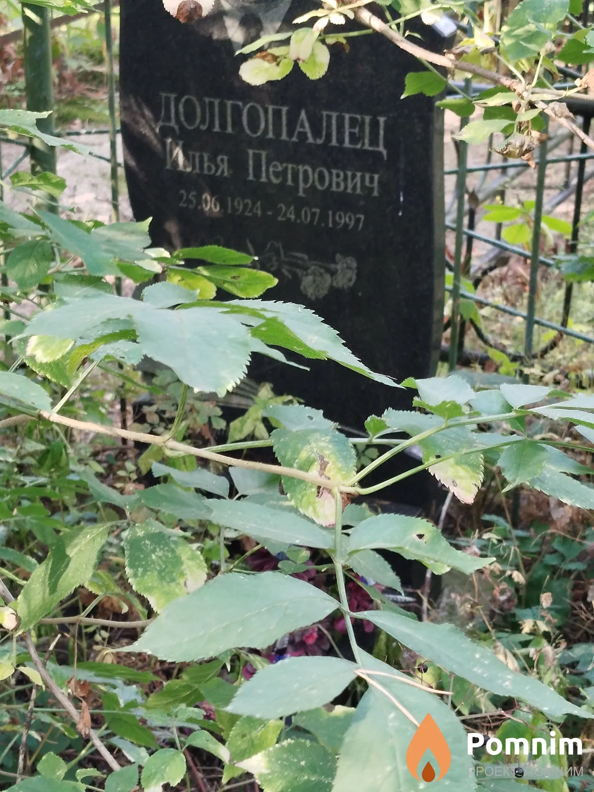 Долгопалец Илья Петрович