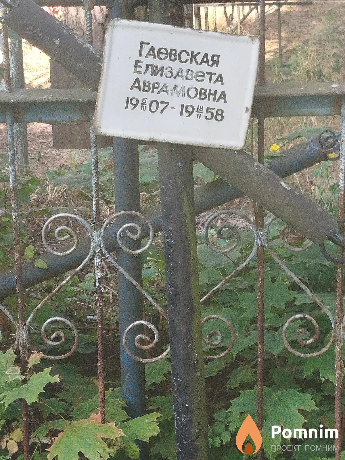 Гаевская Елизавета Аврамовна
