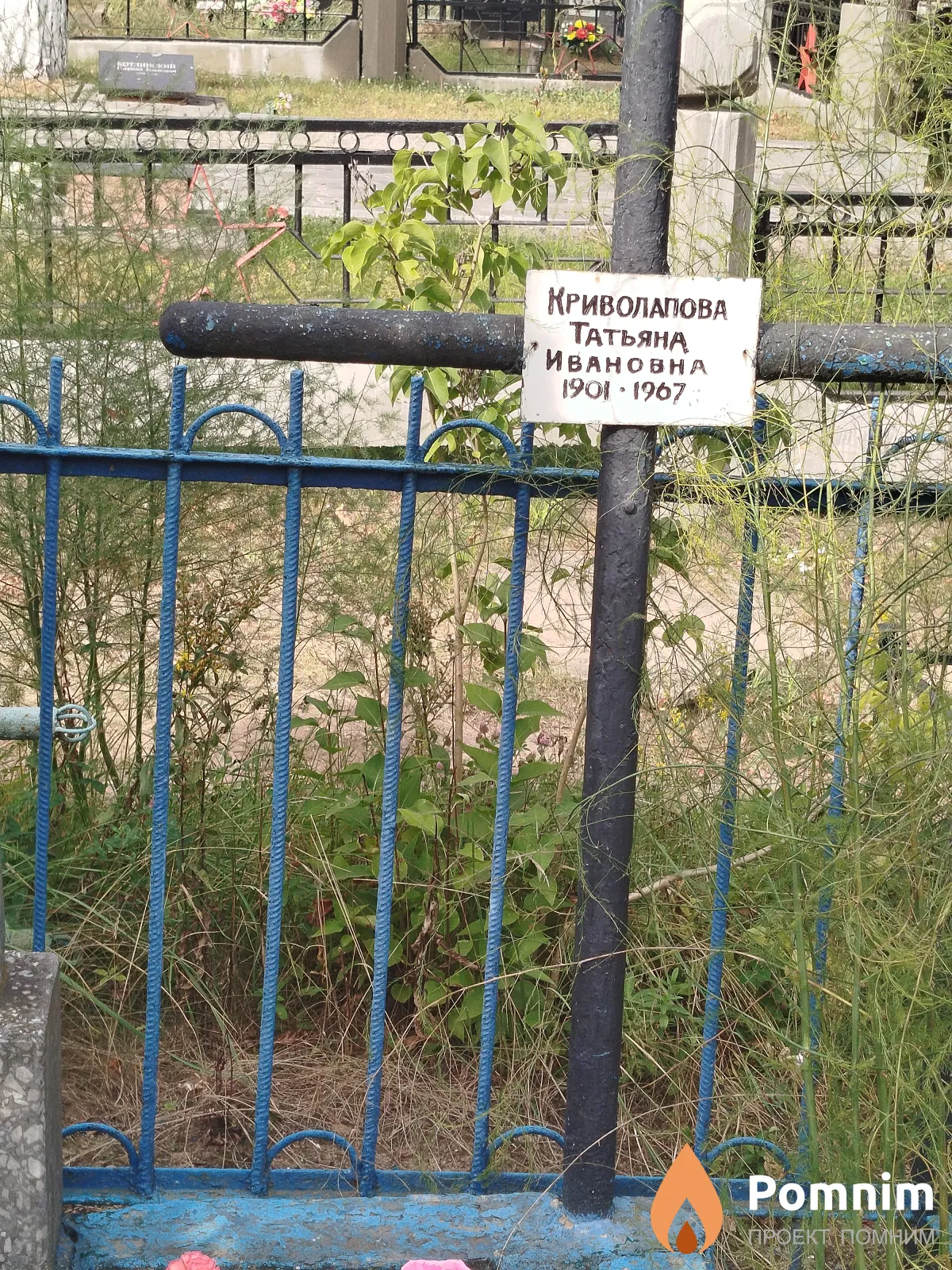 Криволапова Татьяна Ивановна