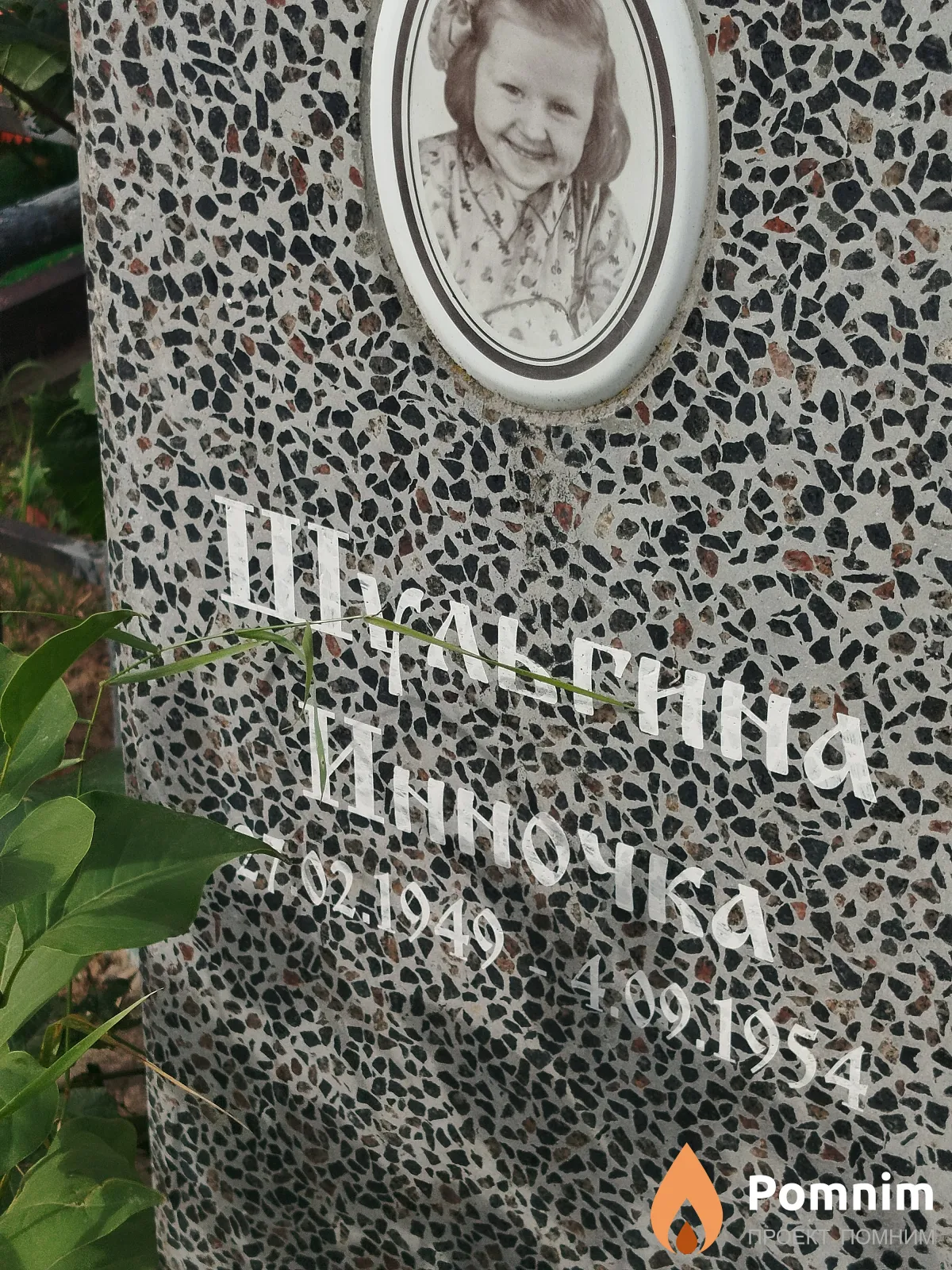 Шульгина Инна
