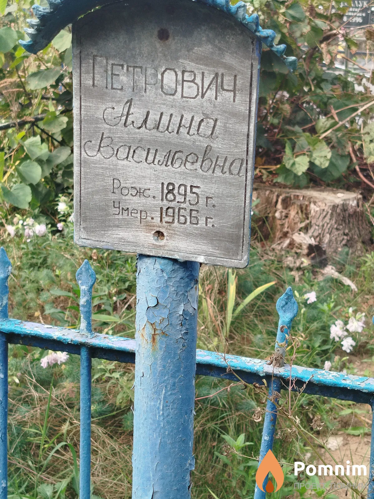 Петрович Алина Васильевна
