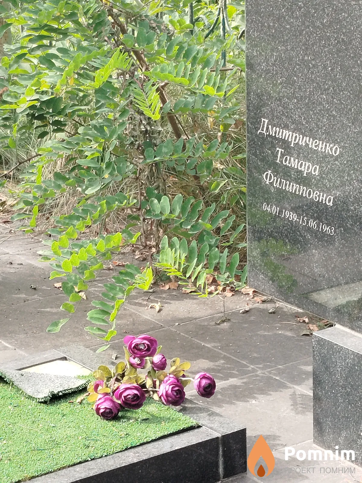 Дмитриченко Тамара Филипповна