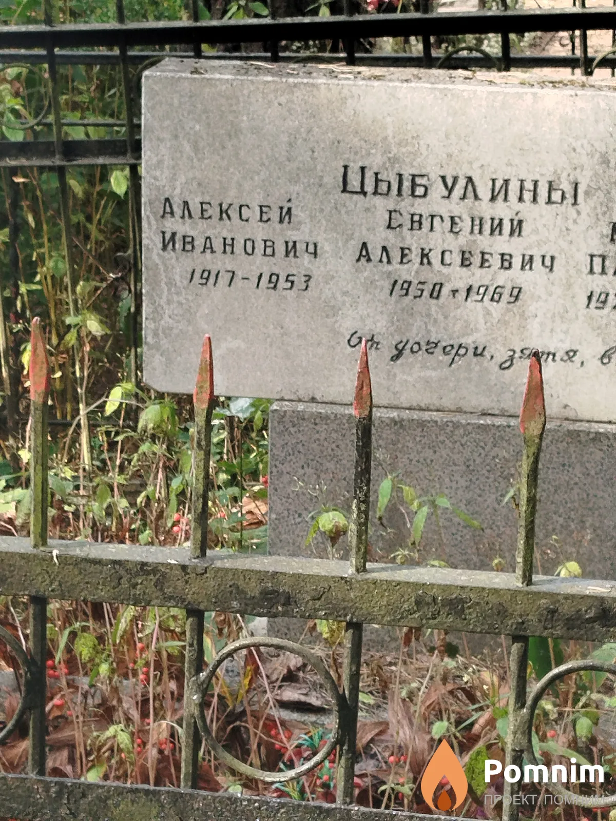 Цыбулин Алексей Иванович