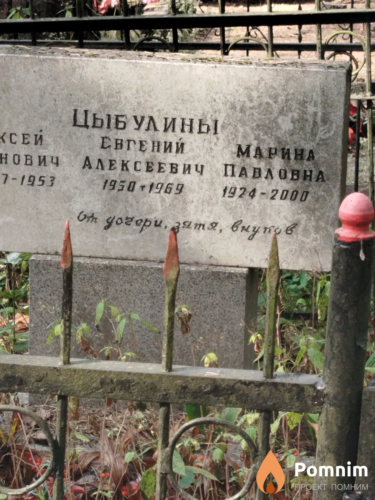 Цыбулина Марина Павловна