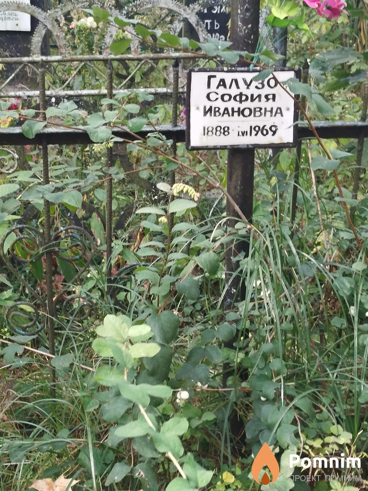 Галузо София Ивановна