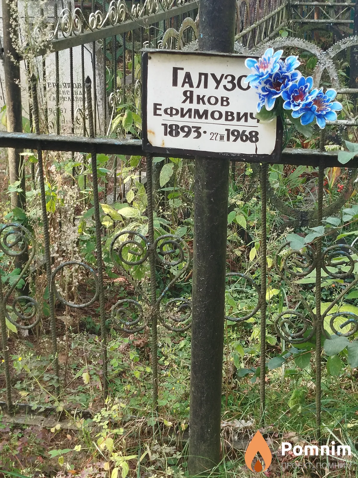 Галузо Яков Ефимович