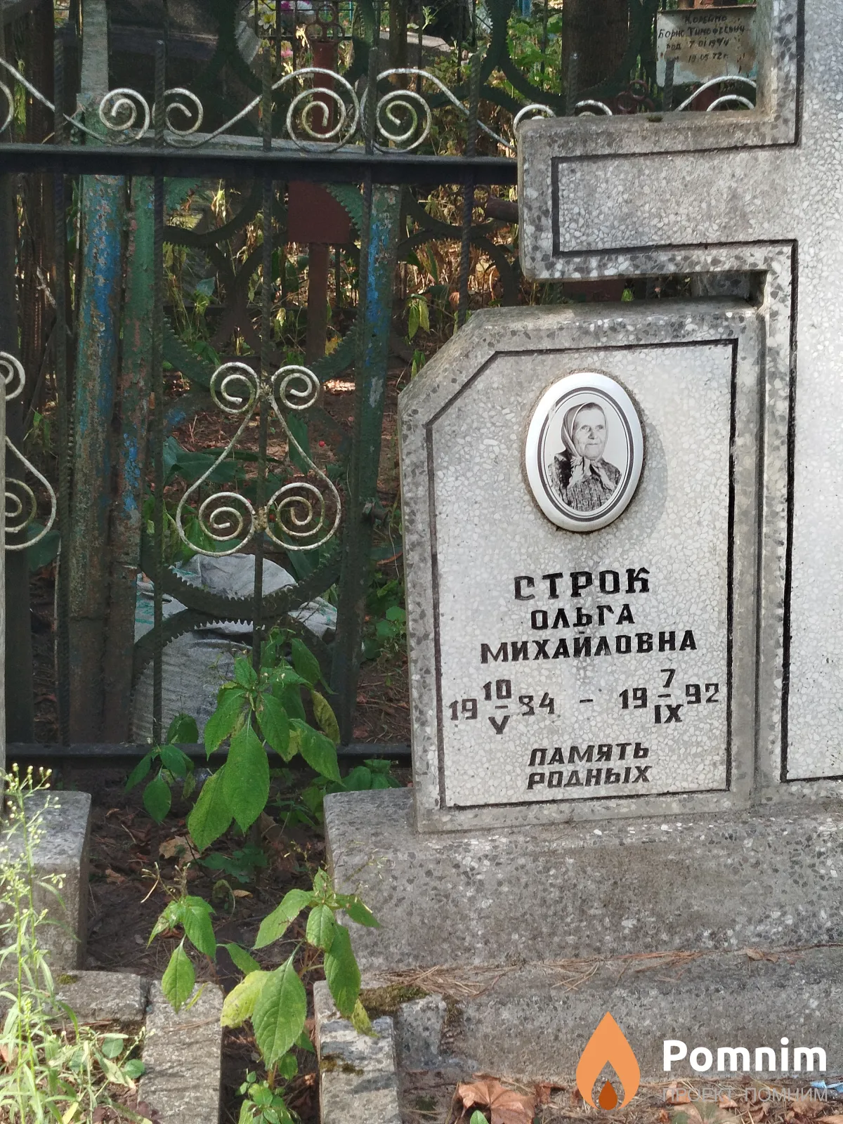 Cтрок Ольга Михайловна