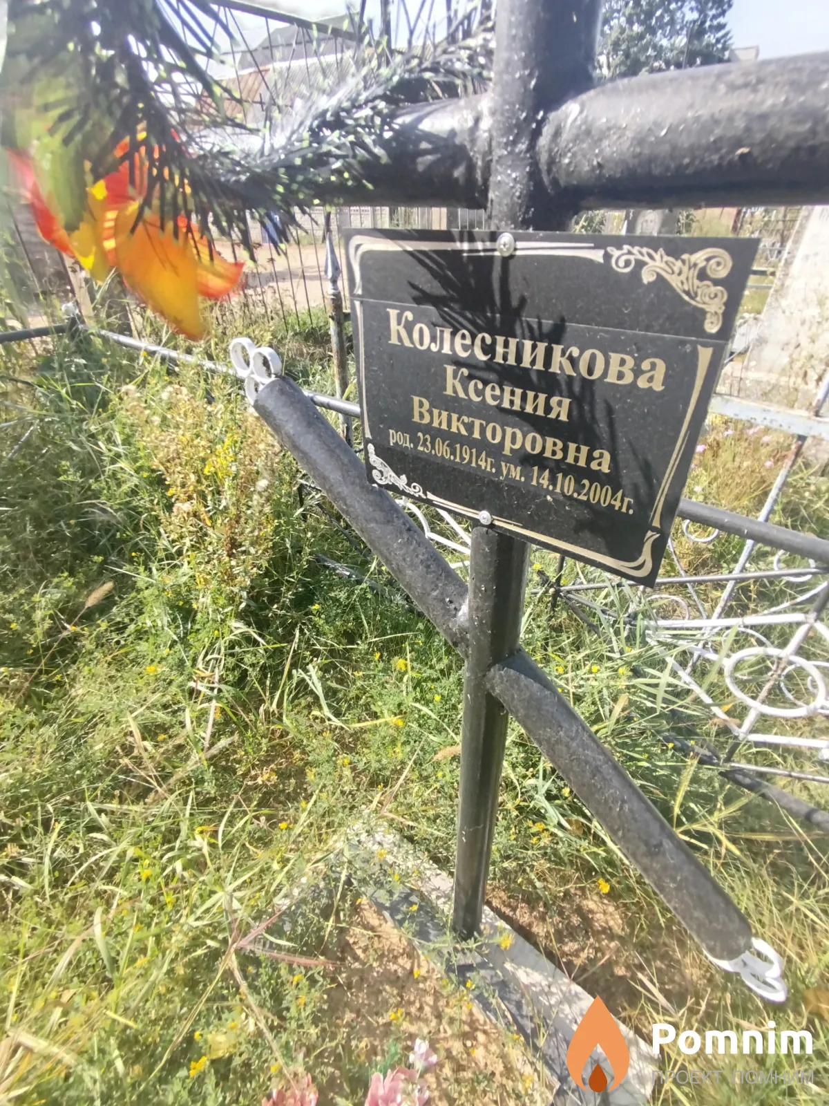 Колесникова Ксения Викторовна