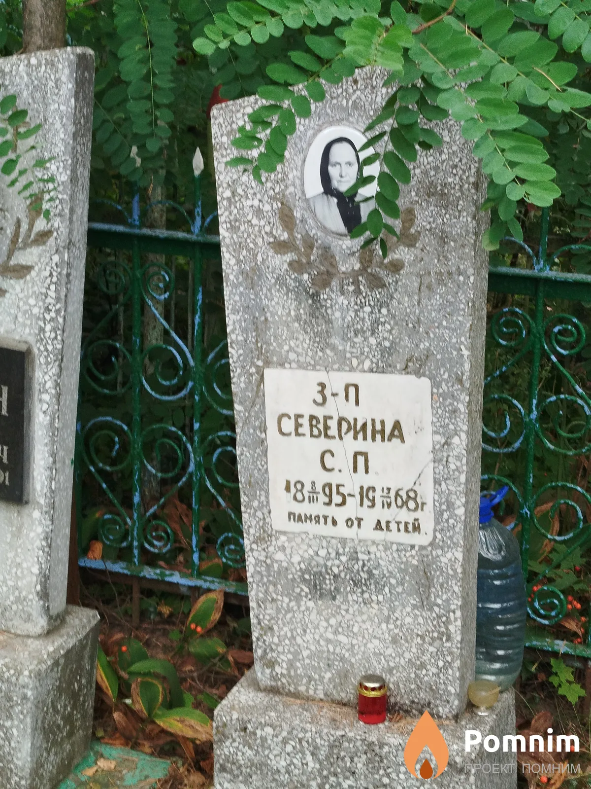 Северина С. П.