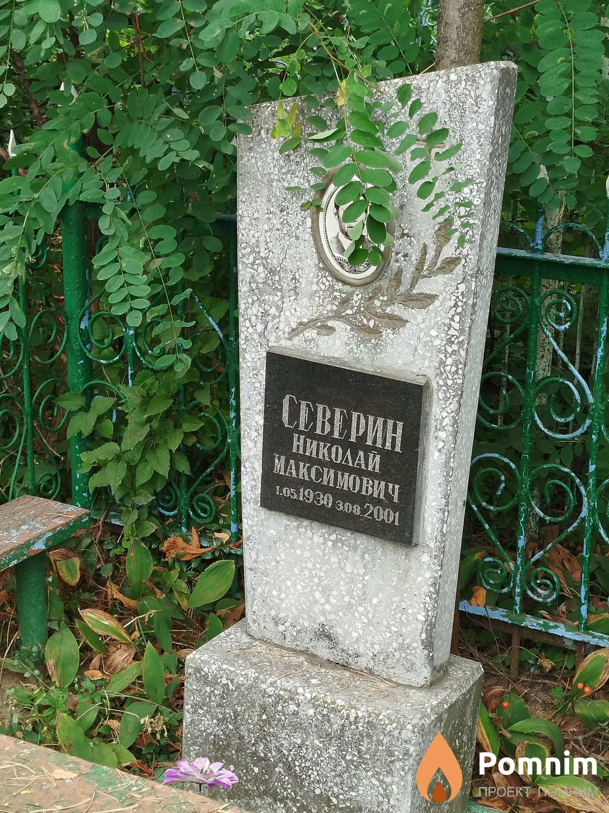 Северин Николай Максимович