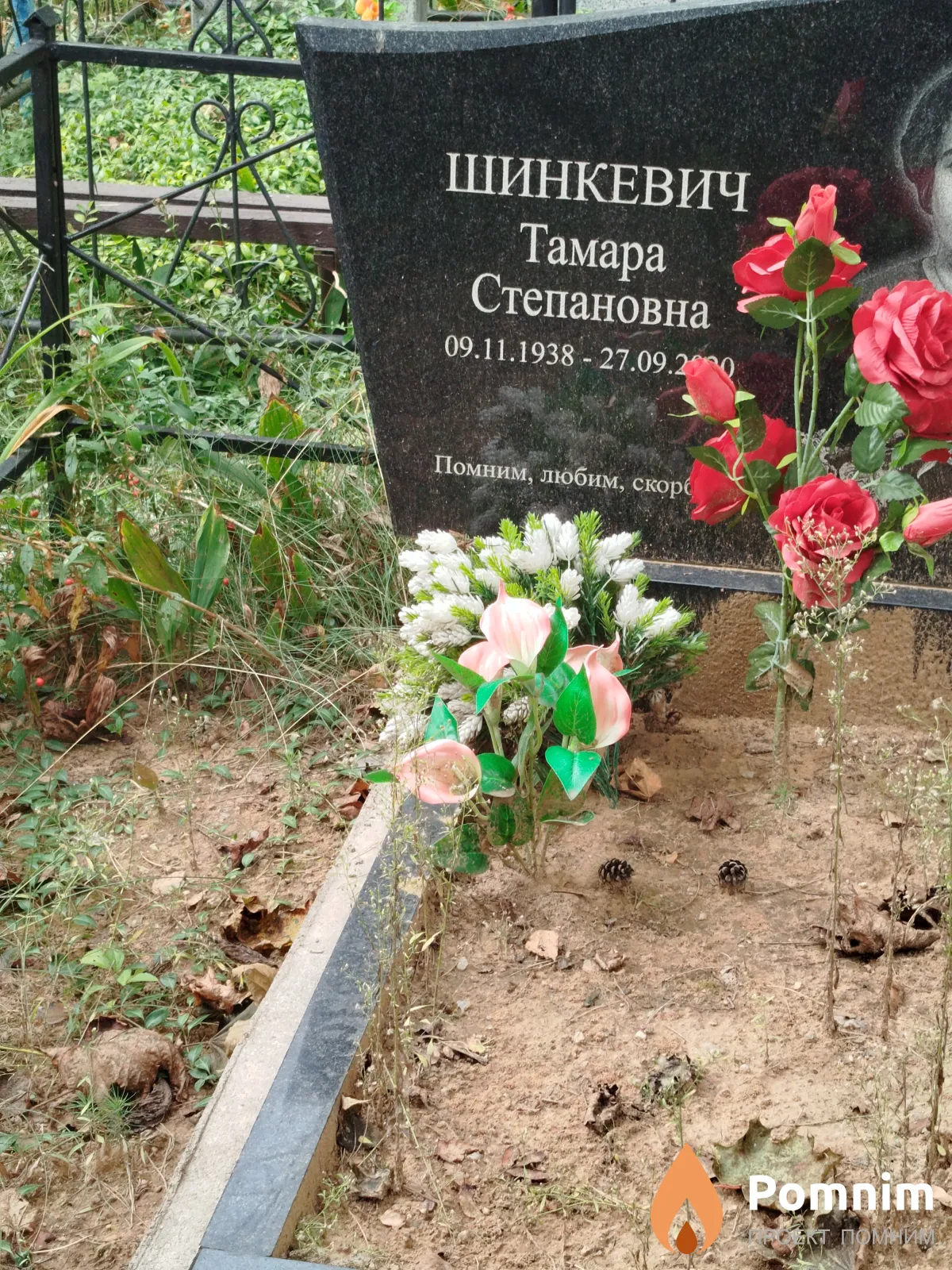 Шинкевич Тамара Степановна
