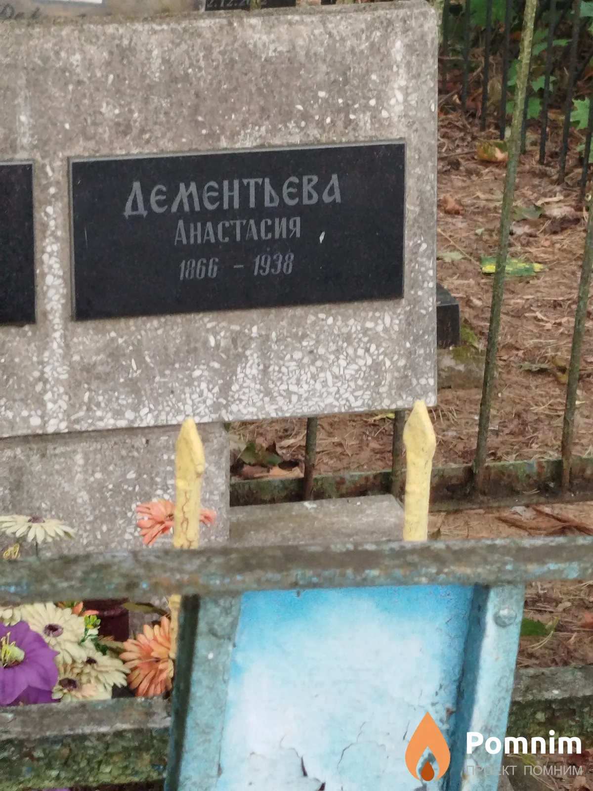 Дементьева Анастасия