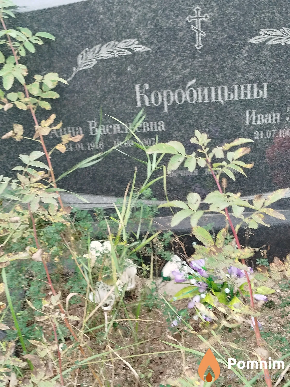 Коробицына Анна Васильевна