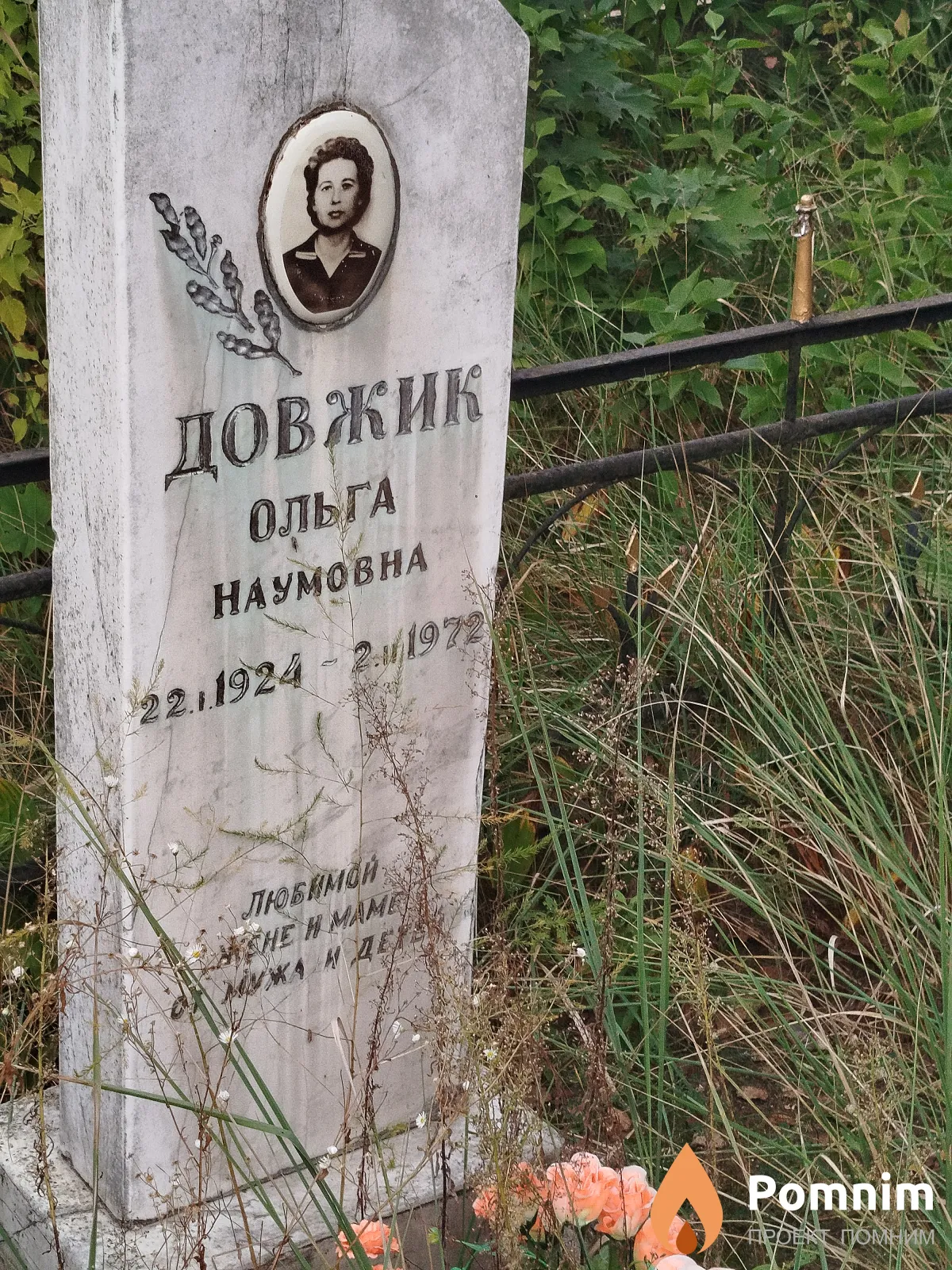 Довжик Ольга Hayмовна