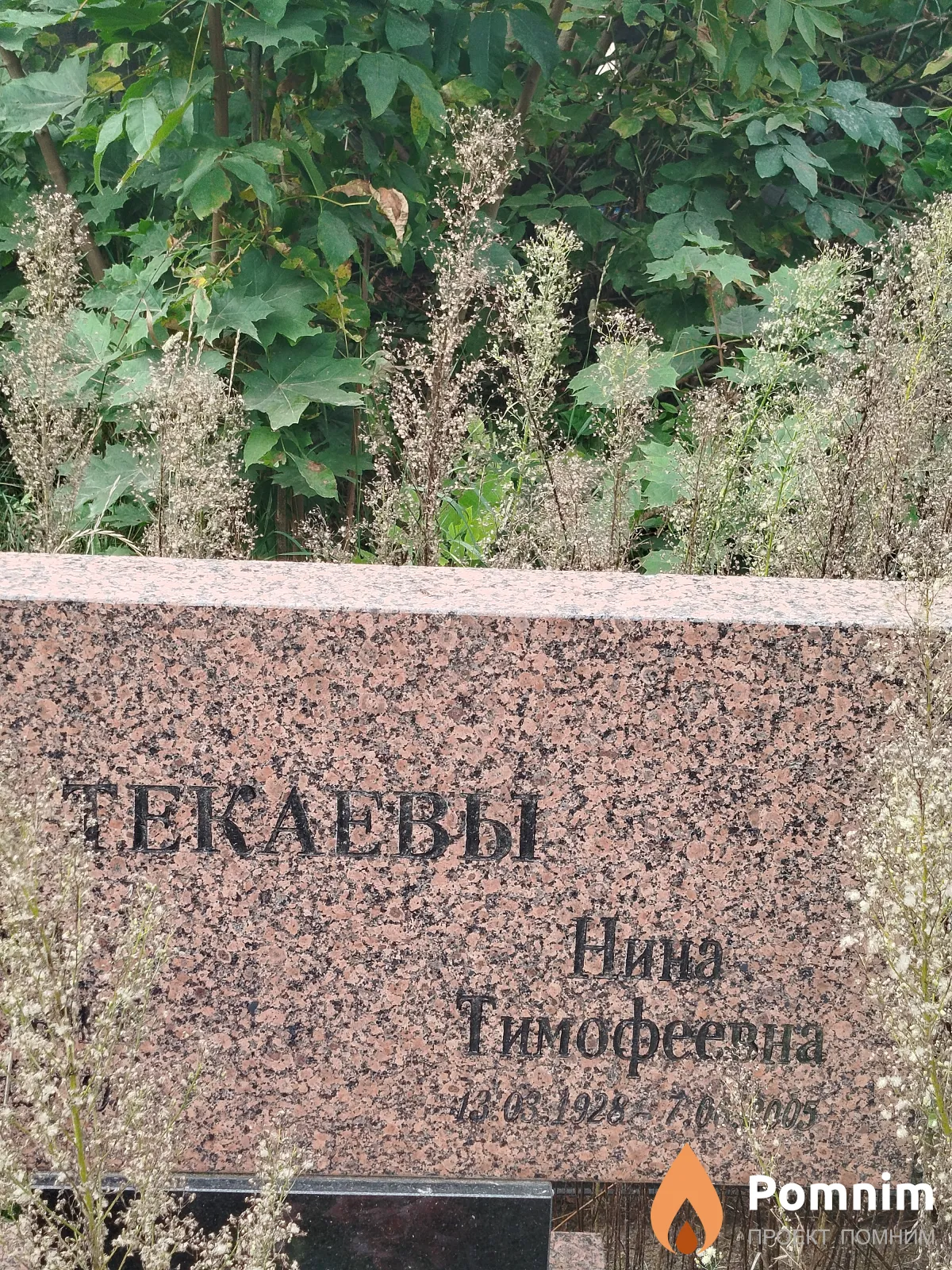 Теклева Нина Тимофеевна