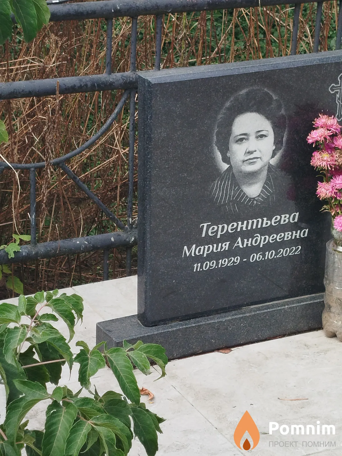 Терентьева Мария Андреевна