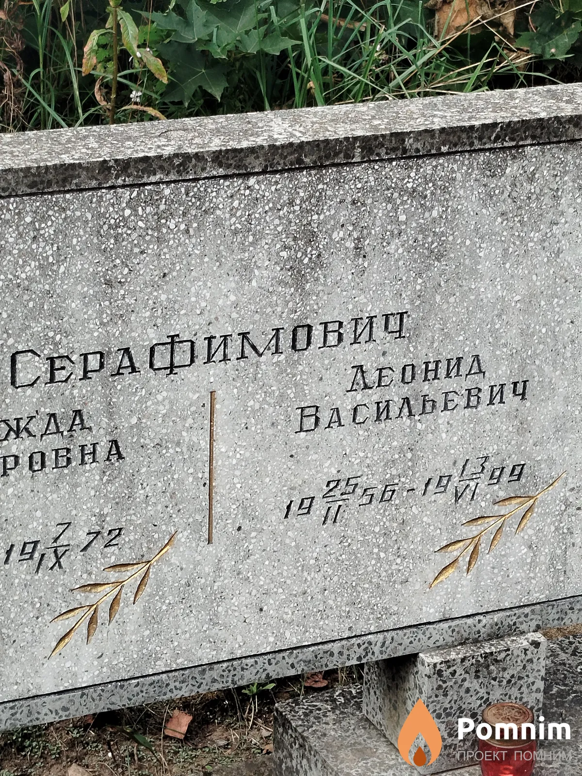 Серафимович Леонид Васильевич