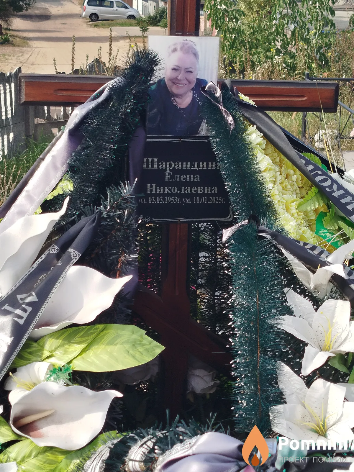 Шарандина Елена Николаевна