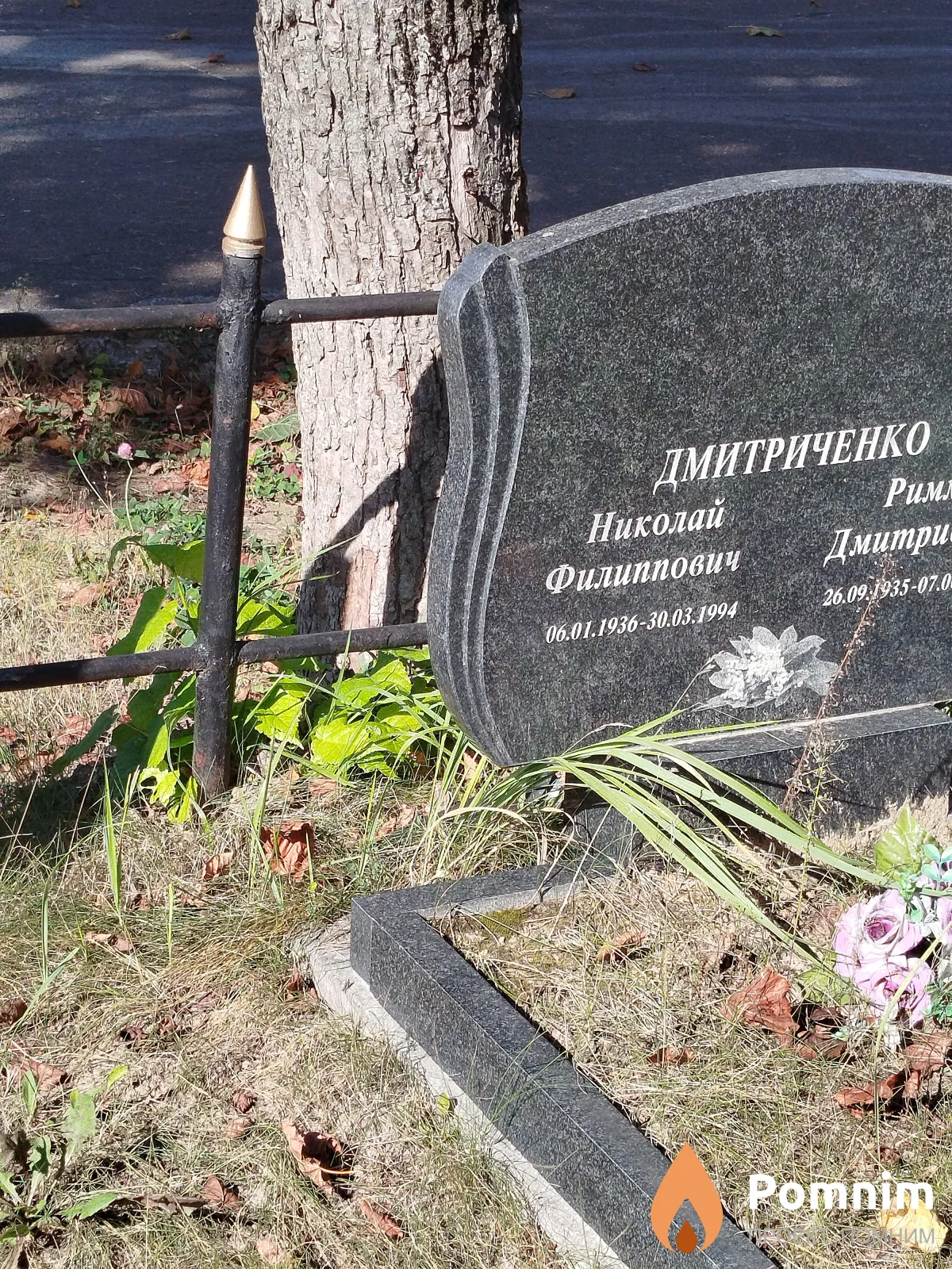 Дмитриченко Николай Филиппович