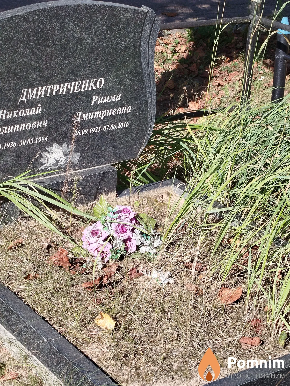 Дмитриченко Римма Дмитриевна