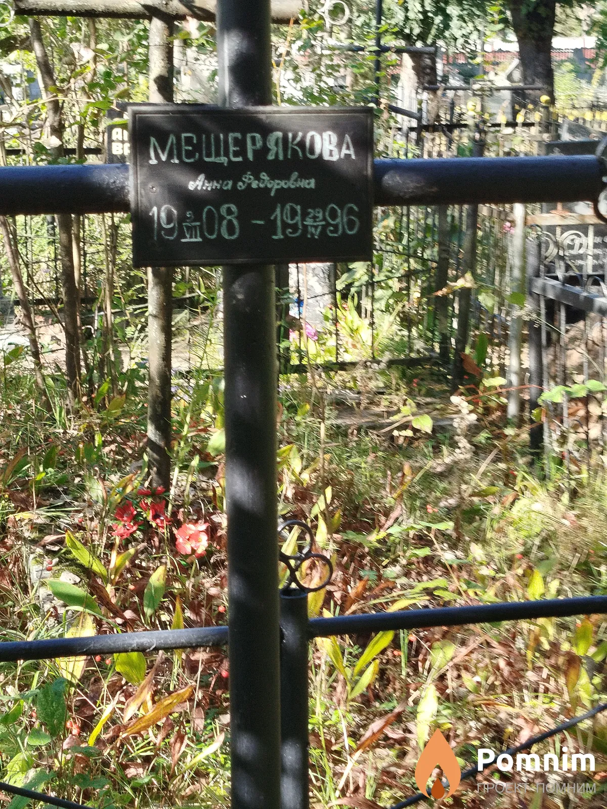 Мещерякова Анна Фёдоровна