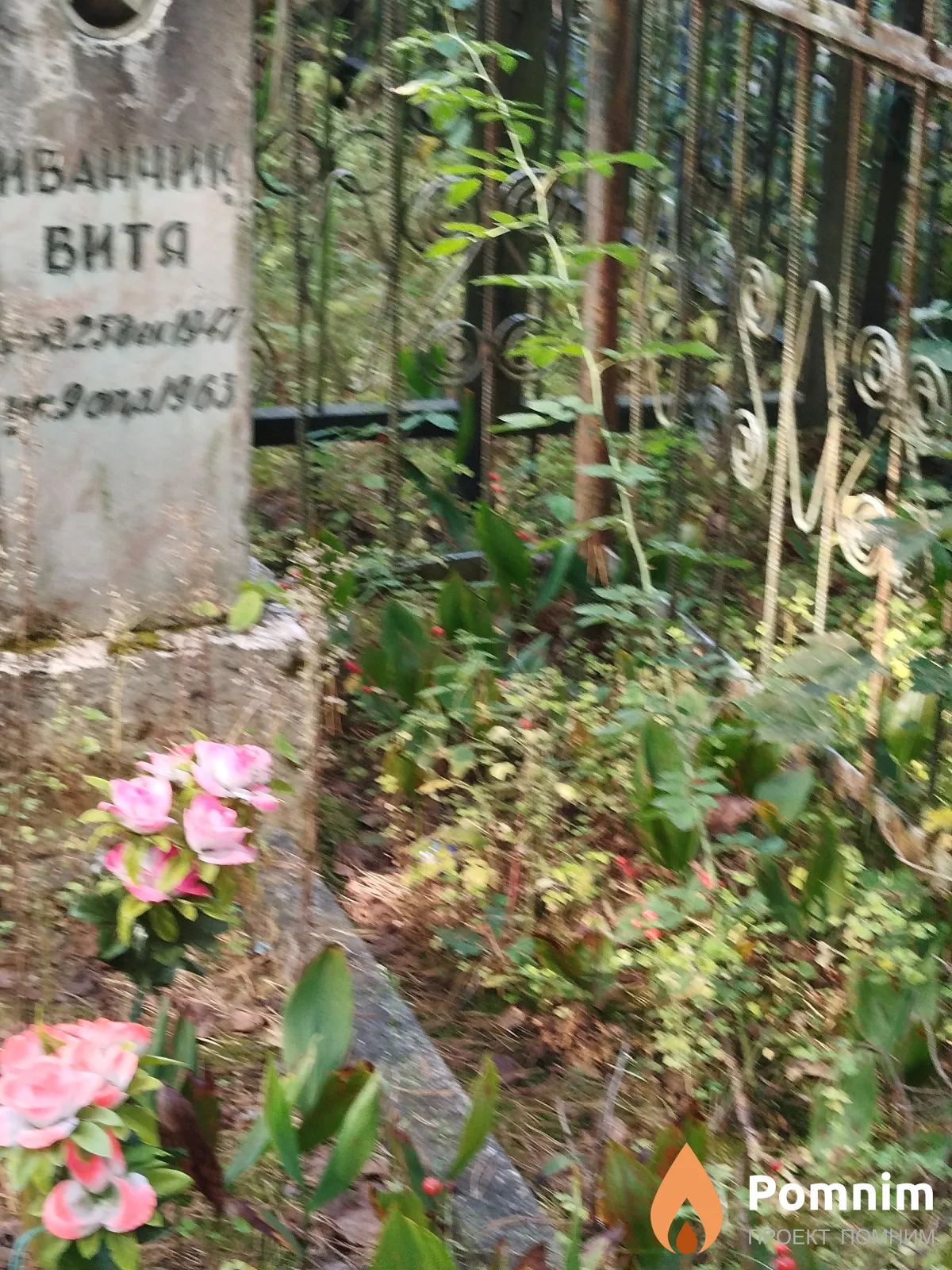 Иванчик Виктор