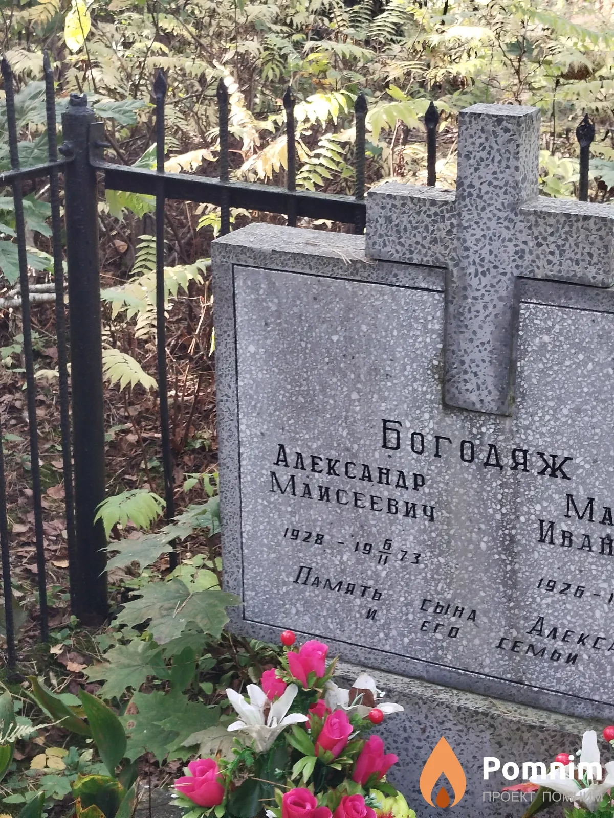 Богодяж Александр Майсеевич