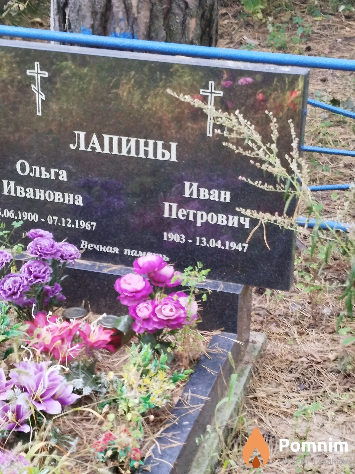 Лапин Иван Петрович